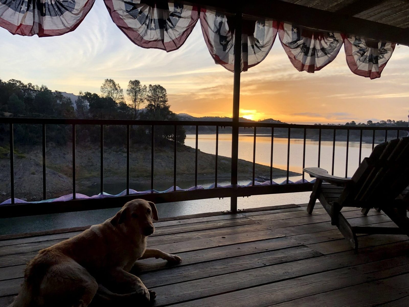 Sunrise view from the deck with dog